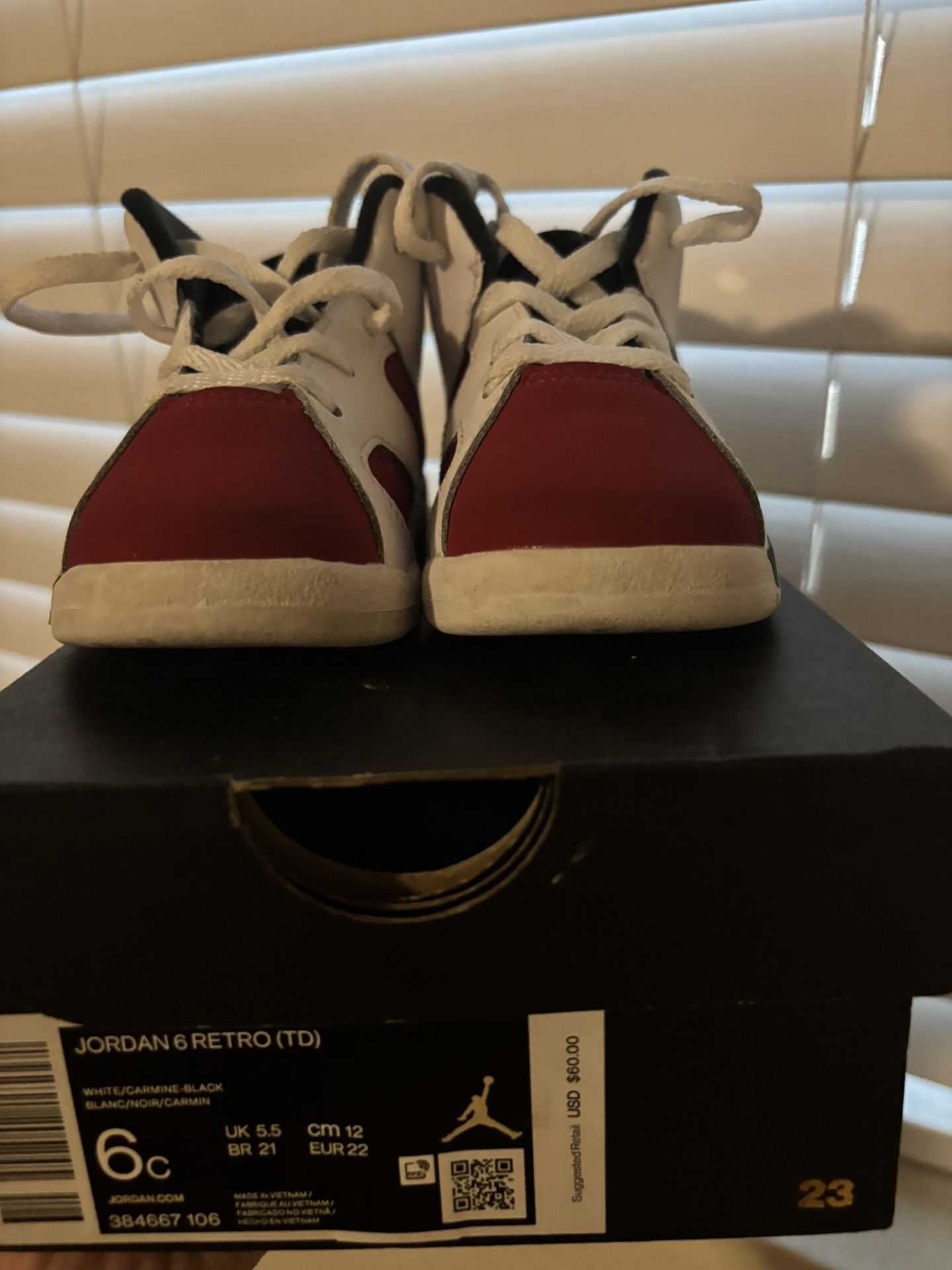 Jordan 6 Retro TD