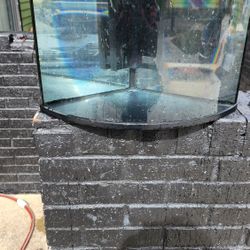6 Gallon Corner Fish Tank