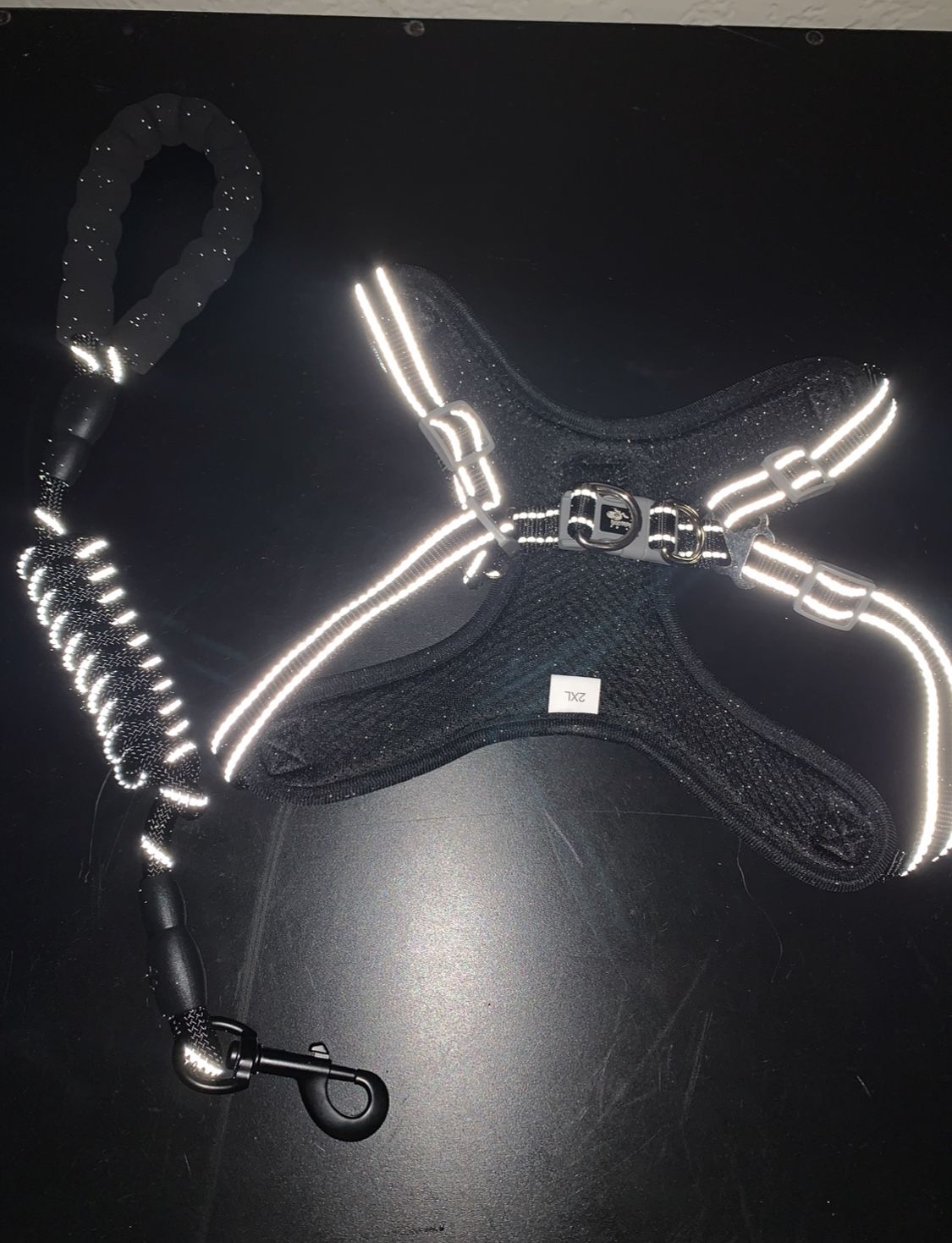 Dog Harness And Leash 