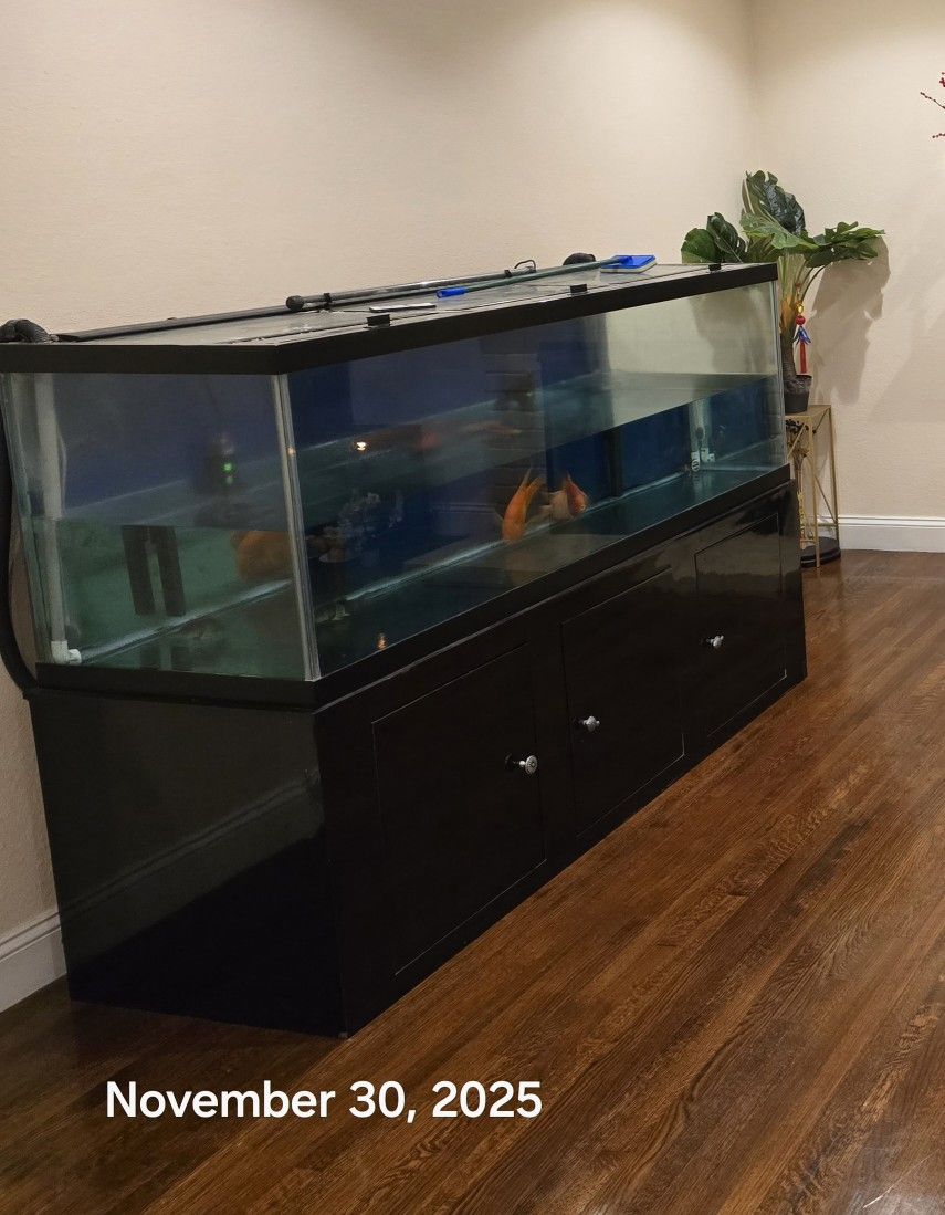 Aquarium Tank 180 Gallons And Fluval FX6