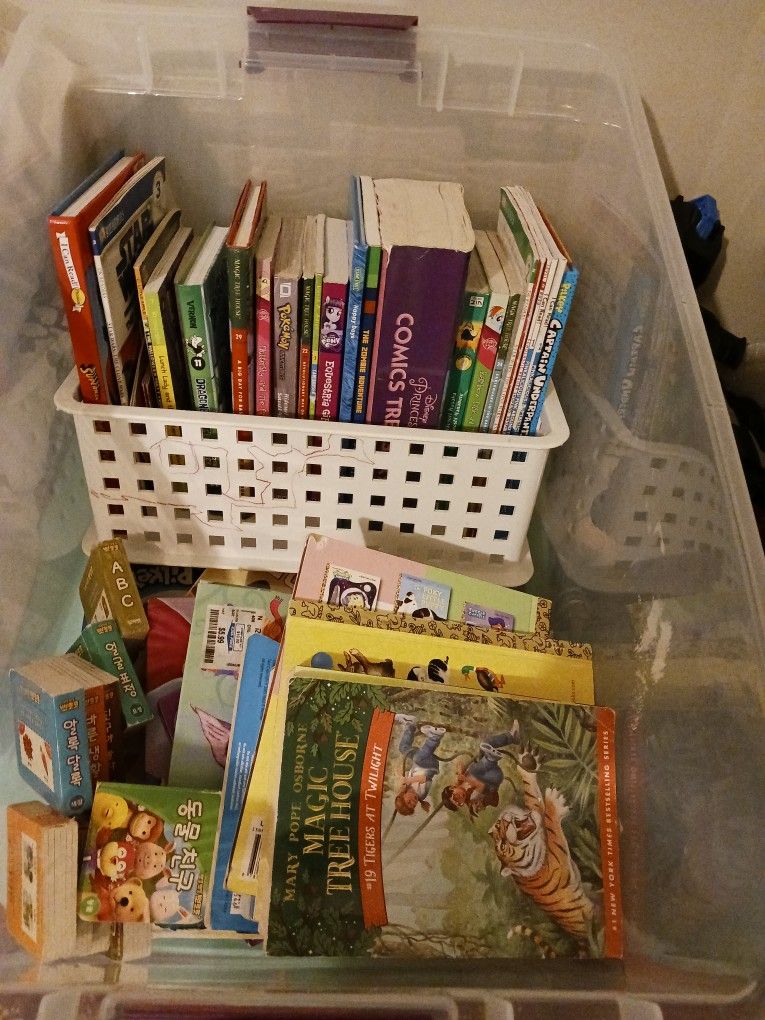 Boxes Of Mostly Childrens Books