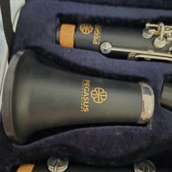 The Pegasus PCL200  Clarinet