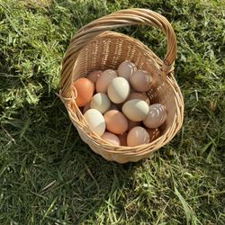 Farm Eggs 