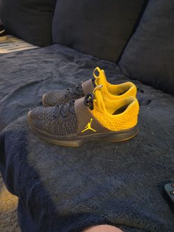 Jordan Flyknit Trainer 2 Michigan