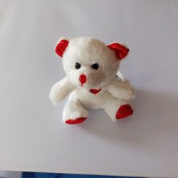Small White Teddy Bear