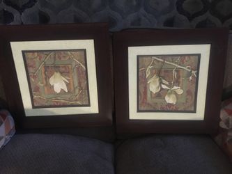 Orchid pictures