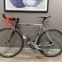 Beautiful Bicycle Trek Road Bike 