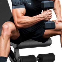 Fly Bird Workout Bench !