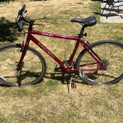 Trek Hybrid Road Bike
