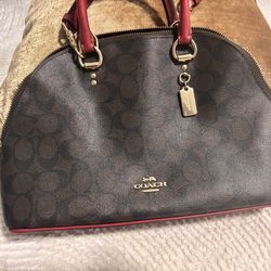 Coach Bag (Brown)