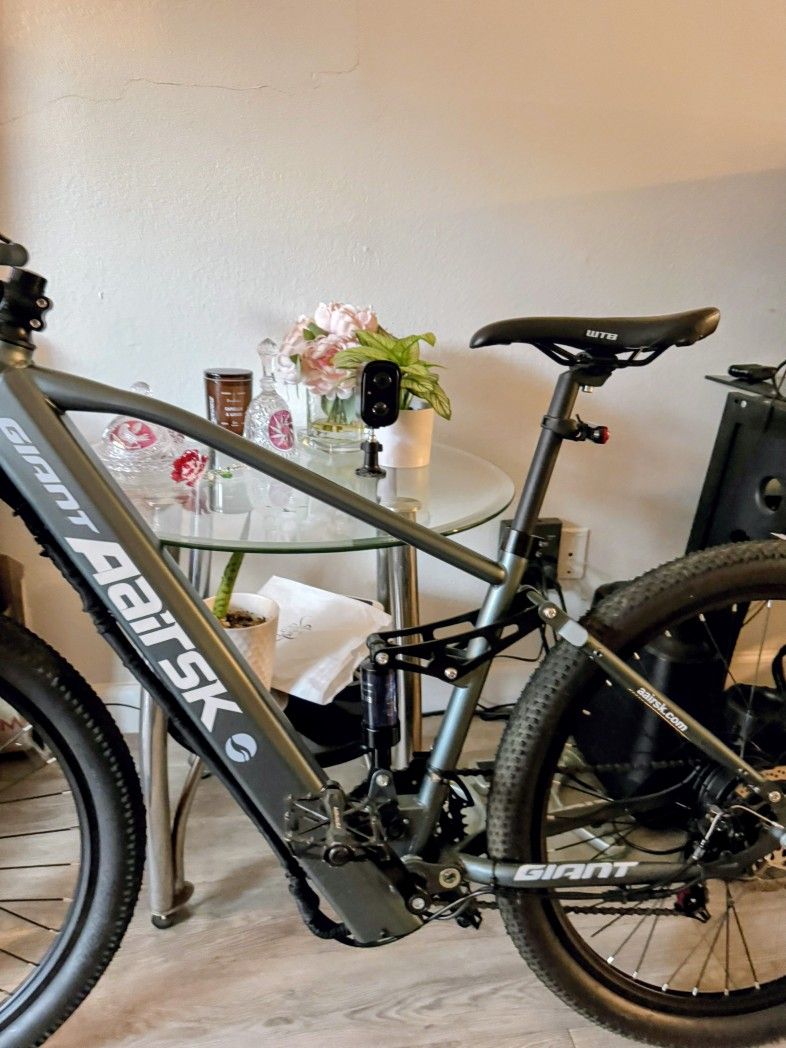 E-Bike Dirt or Street