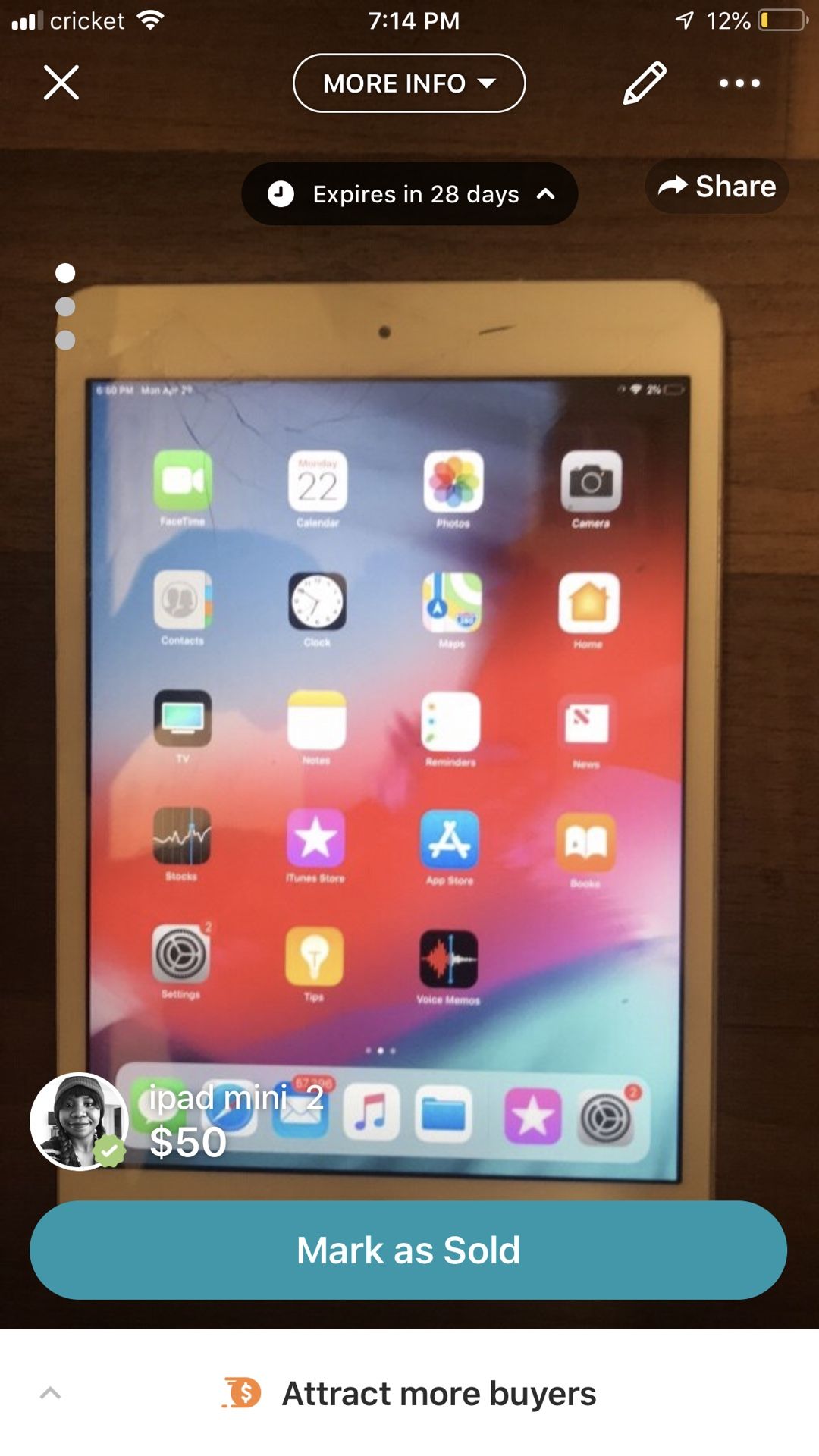 iPad mini 2