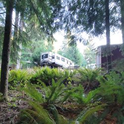 Lake Merwin Campers Hideaway Amboy, WA