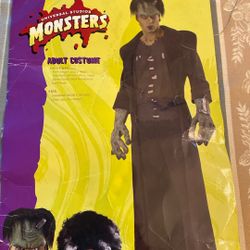 Mr. And Mrs. Frankenstein Costume For Adults 