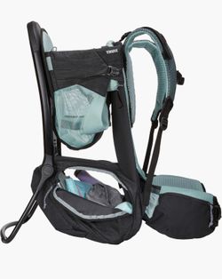 Thule Child Carrier