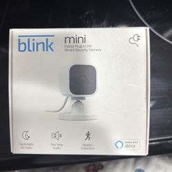 Blink mini camera 2 way talk