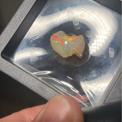 Welo Rough With Display Case