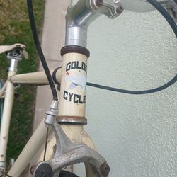 Gold cycle bicycle