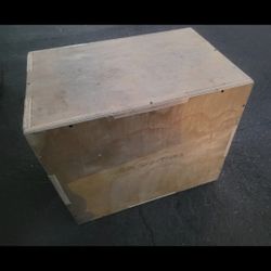Rep Fitness Plyo Exercise  Box 📦