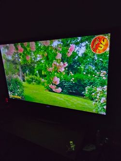 TV  Vizio 58" Roku