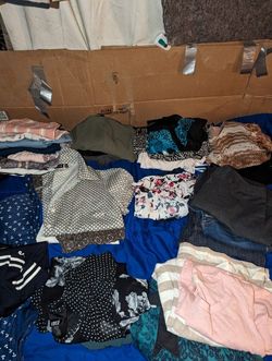 Ann Taylor LOFT XS Shirts (7 Shirts)
