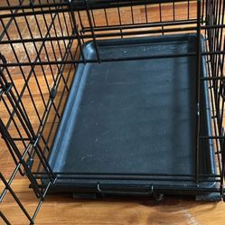 Small Dog
