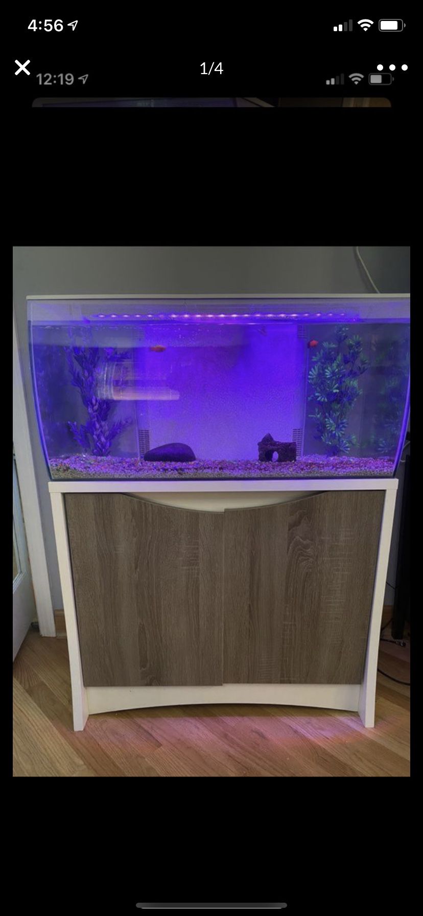 32.5 gallon tank with base. Plants, 4 fish and white rocks included