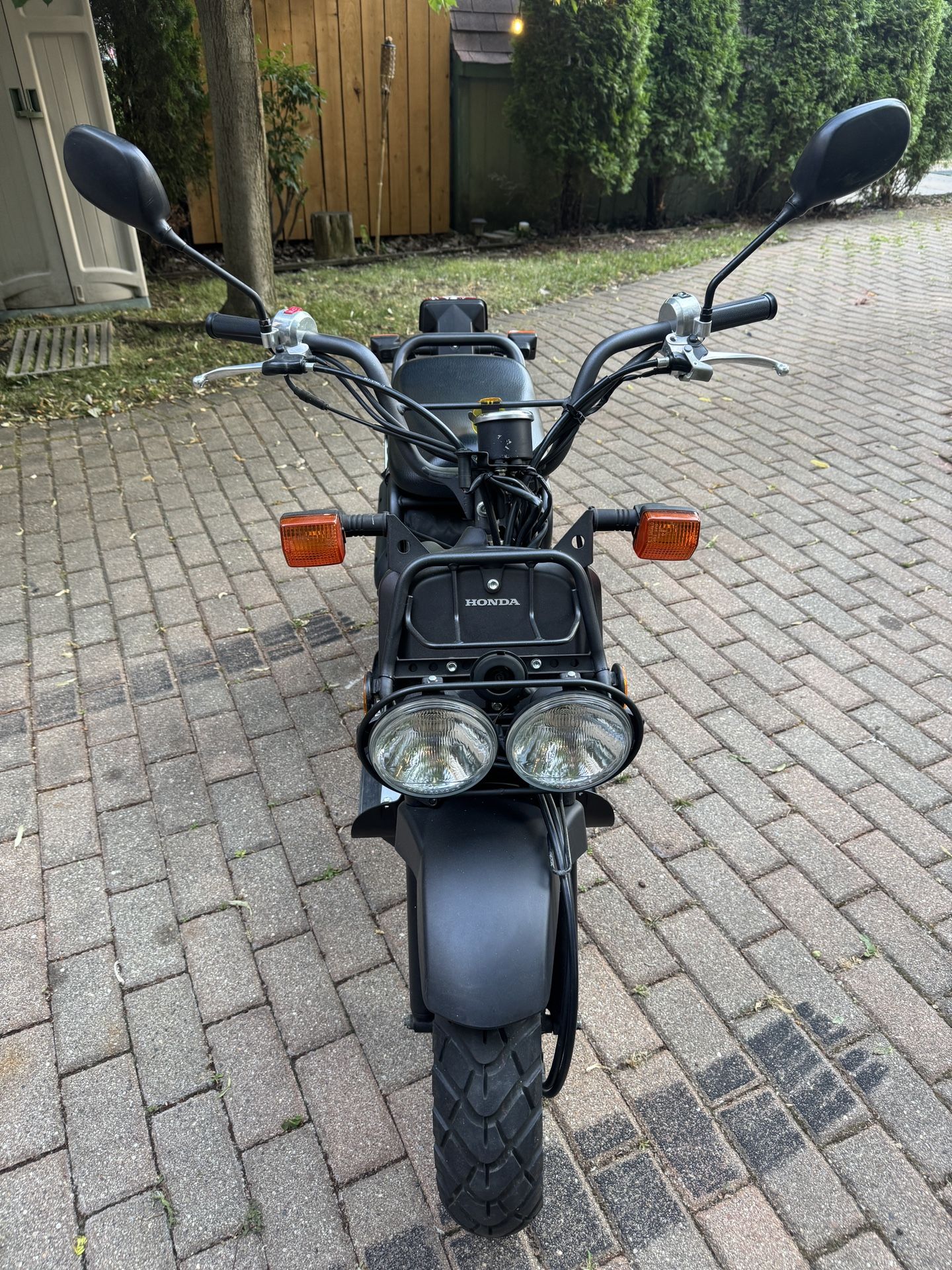 2009 Honda Ruckus 49cc 