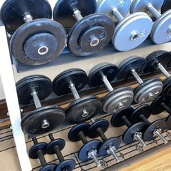 Dumbells 5 to 50 Pounds with Rack