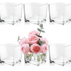 6 Pack Square Glass Vases