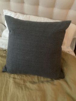 Pottery Barn throw pillow