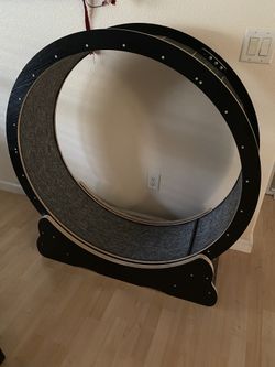 Cat Wheel
