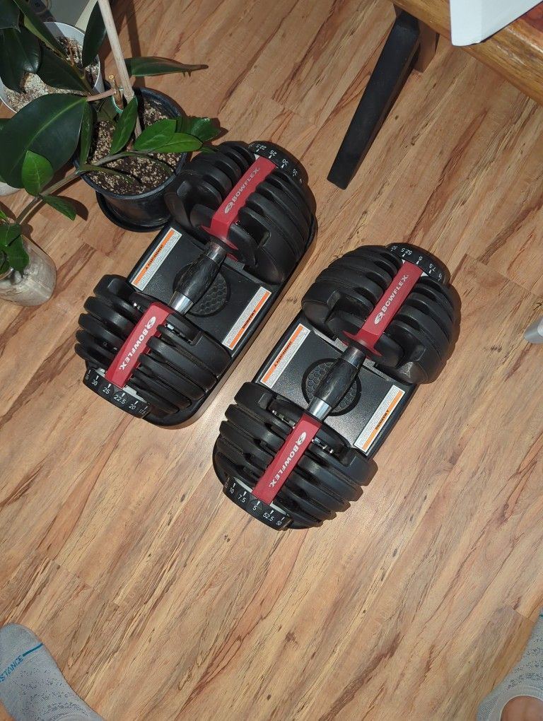 Bowflex Adjustable Dumbbells Set