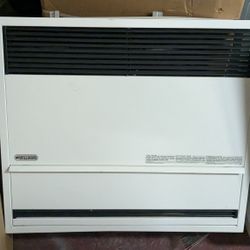 Williams Direct Vent Wall Heater
