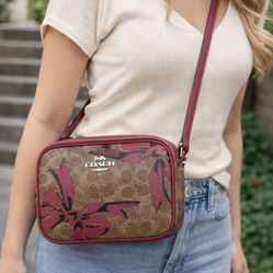 Unique and rare Coach bag