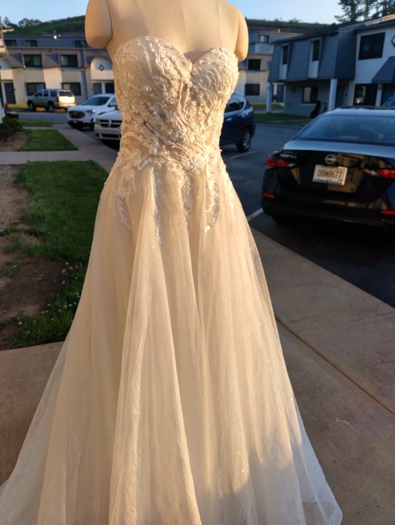 Prom/Wedding Dress