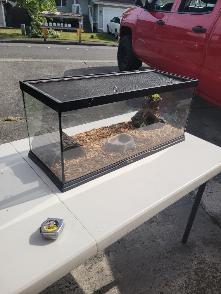 Locking Reptile Enclosure