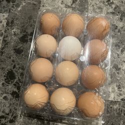 Free Range Organic Eggs