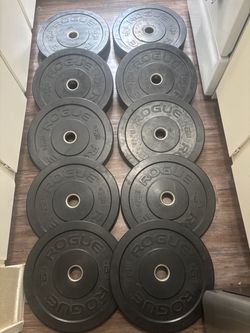ROGUE HG BUMPER WEIGHTS 2x45, 2x25, 2x15 and 4x10 lbs $300 firm!
