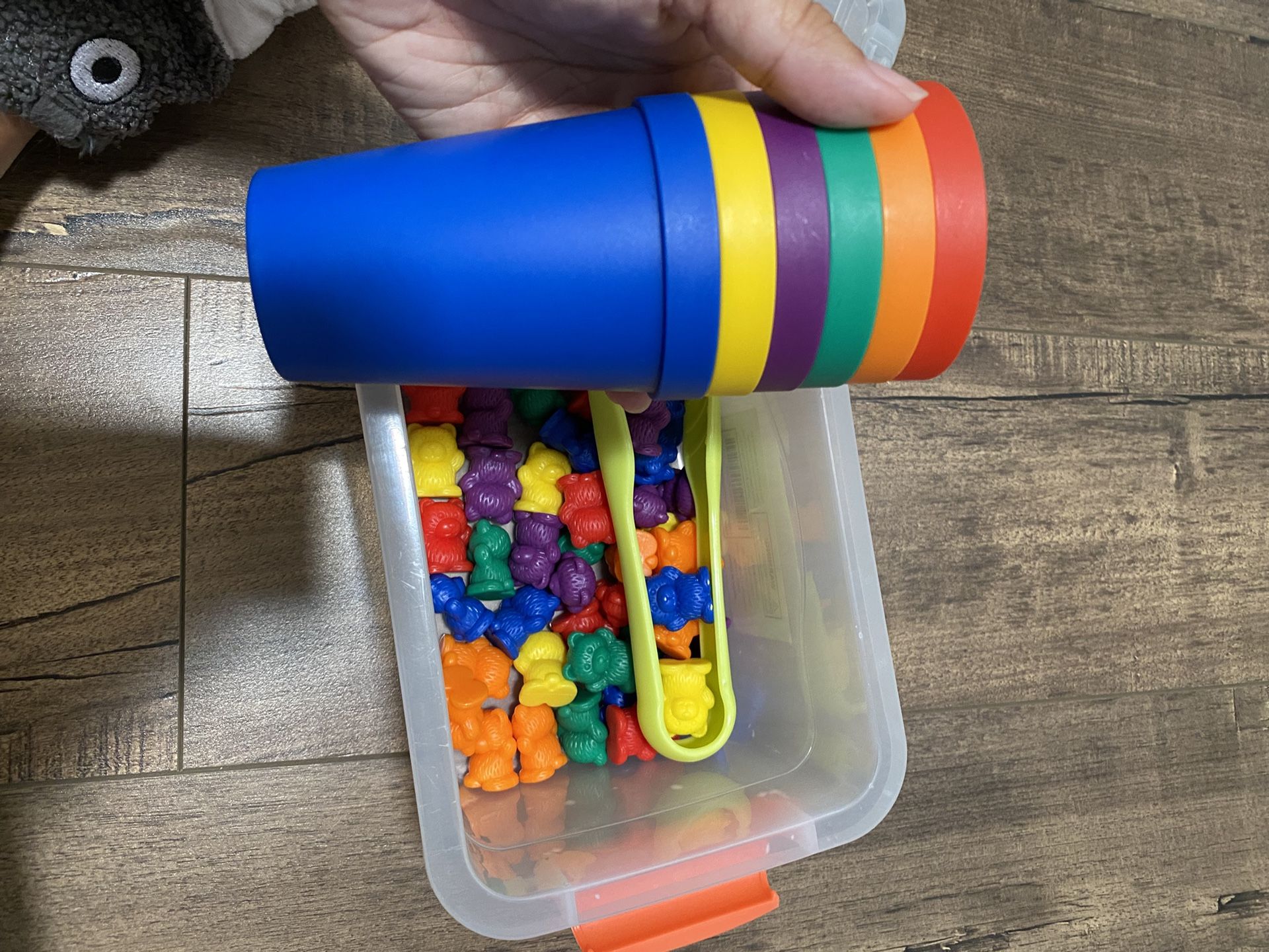 Sorting And Counting toy