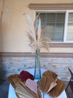 Palms And Pampas