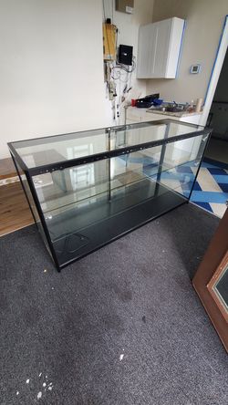 Display Case with lights