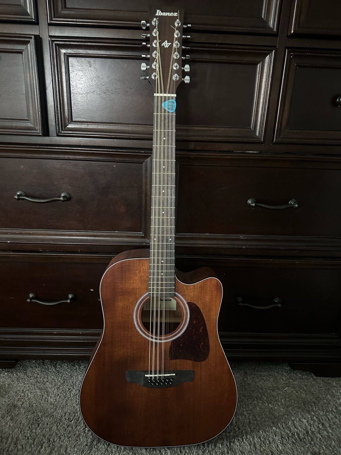 Ibanez 12 string