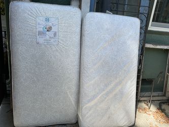 Sealey Crib Mattress