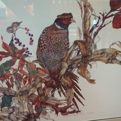 Beautiful Pheasant Painting