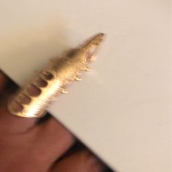 Very Unique Fingered Ring 