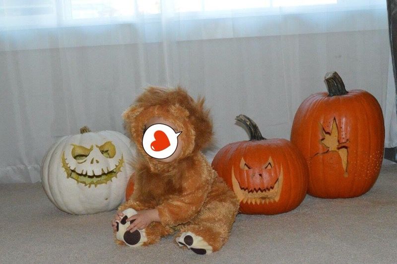 Baby Lion Costume fit 6-12 months