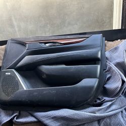 Passenger Side Door Panel 