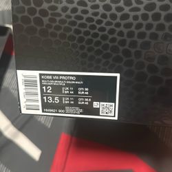 Jordan Cement 4’s Kobe 8 Protro 