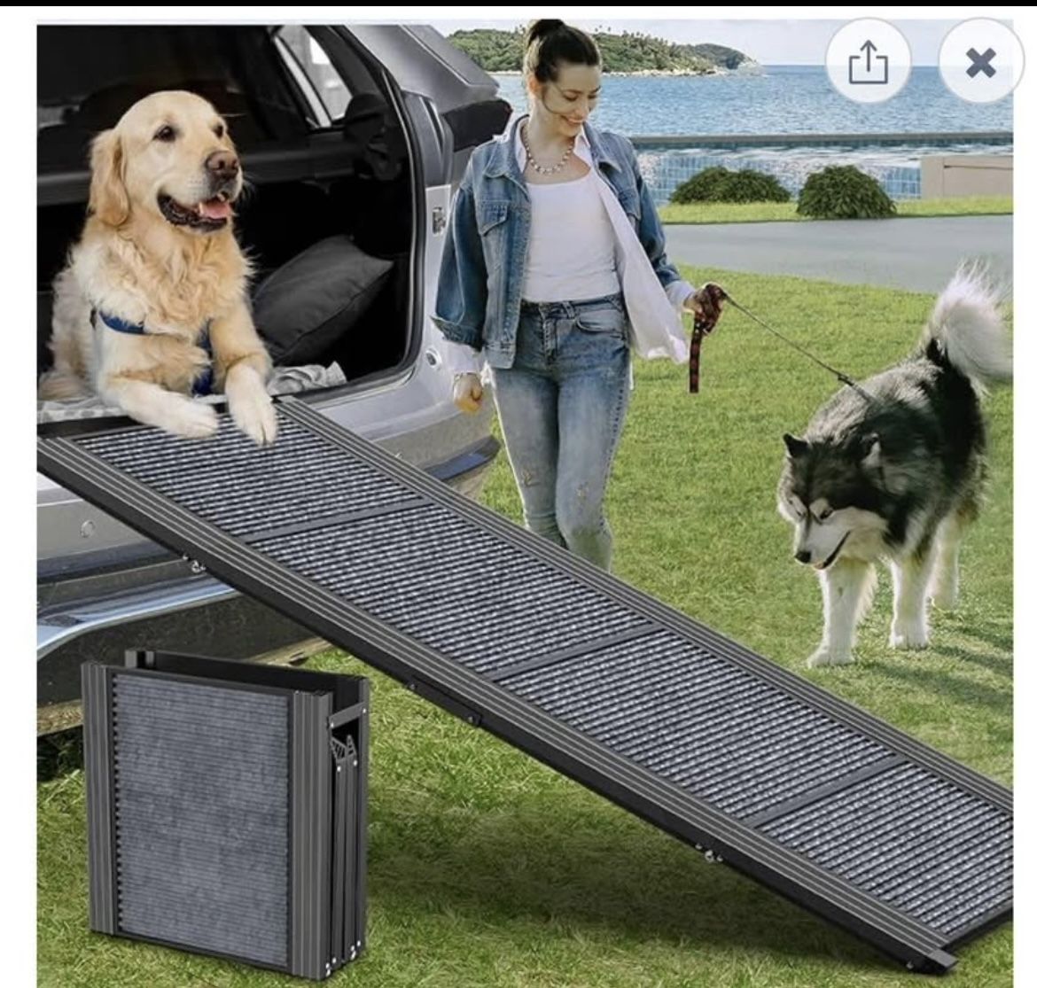 HerCcreta Wigge Dog Ramp
